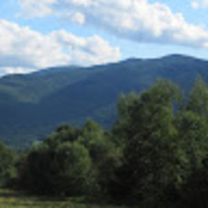 Meet your Posher, Kathi